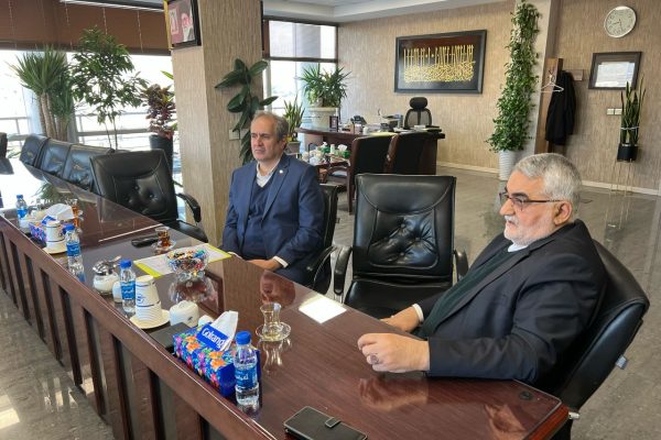 توسعه فرودگاه لارستان؛ محور دیدار بروجردی و امیرانی