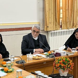 برنامه‌ریزی برای جذب مسافران نوروزی در جنوب فارس با حضور علاءالدین بروجردی