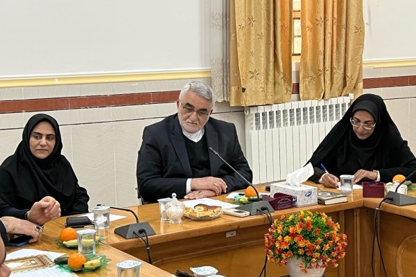 برنامهریزی برای جذب مسافران نوروزی در جنوب فارس با حضور علاءالدین بروجردی