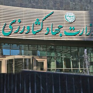 بروجردی: مصوبه اداری دولت تهدید جدی برای امنیت غذایی کشور است